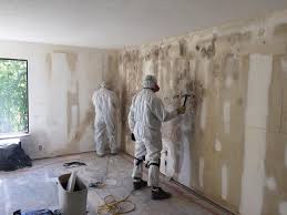 Best Water Damage & Mold Remediation in Galax, VA